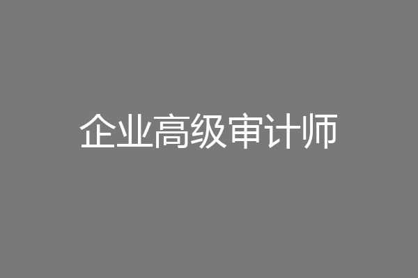 企业高级审计师