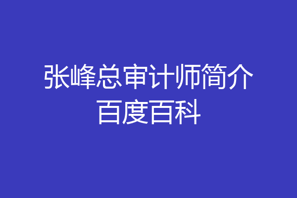 张峰总审计师简介百度百科