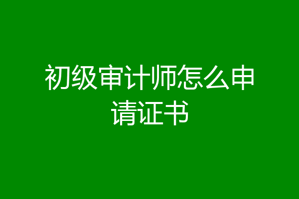 初级审计师怎么申请证书