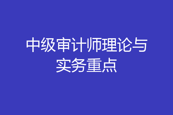 中级审计师理论与实务重点