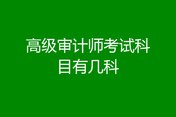 高级审计师考试科目有几科