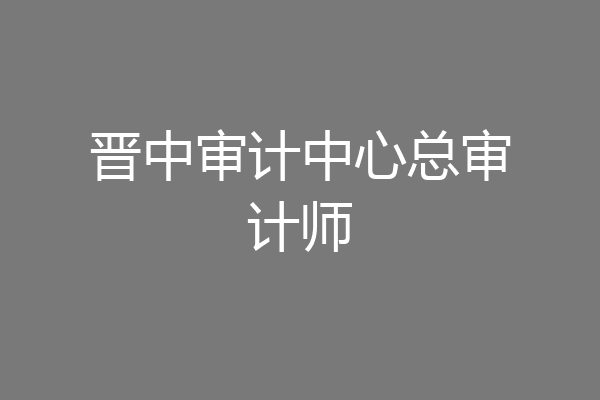 晋中审计中心总审计师