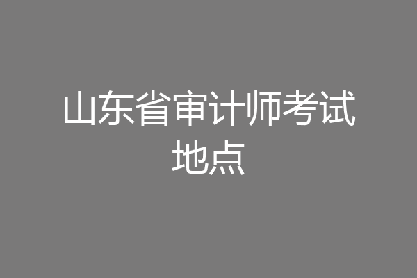 山东省审计师考试地点