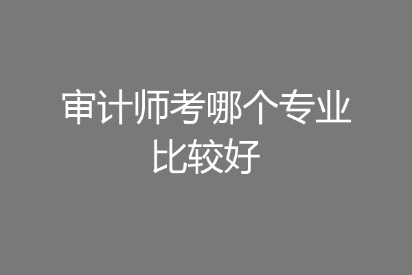 审计师考哪个专业比较好