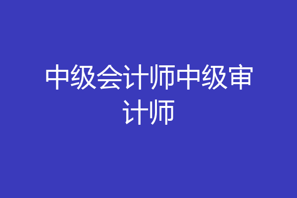 中级会计师中级审计师