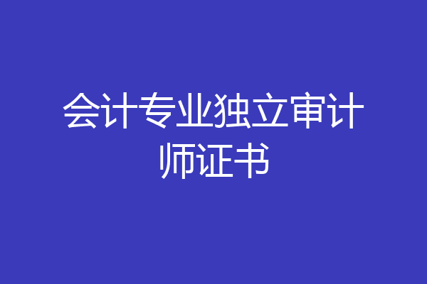 会计专业独立审计师证书