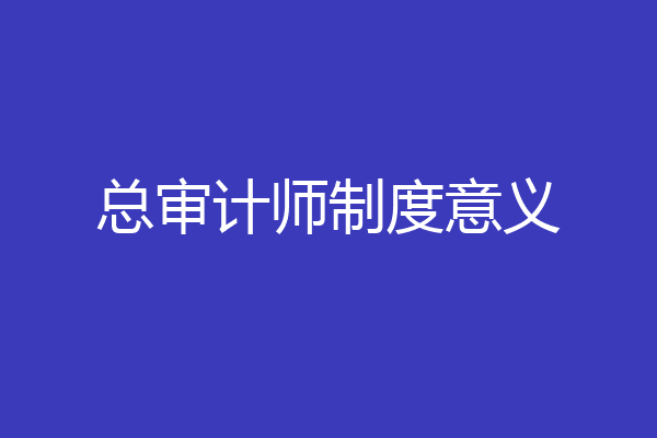 总审计师制度意义