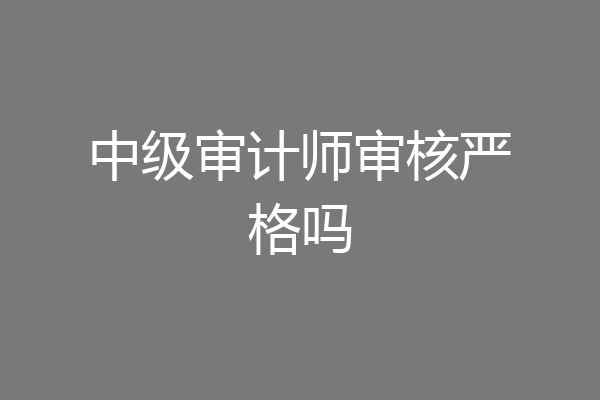 中级审计师审核严格吗