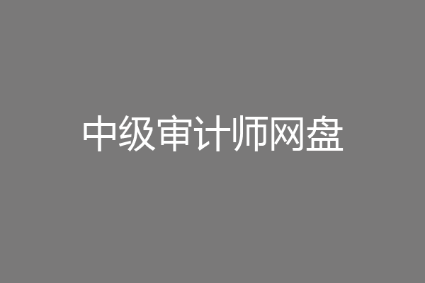 中级审计师网盘