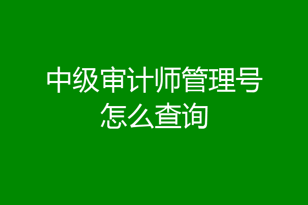 中级审计师管理号怎么查询