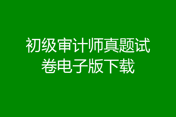 初级审计师真题试卷电子版下载