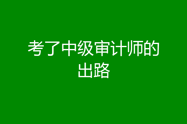 考了中级审计师的出路