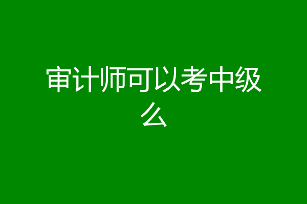 审计师可以考中级么