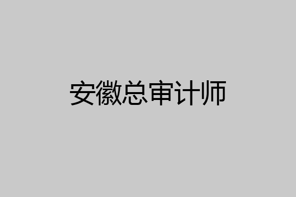 安徽总审计师