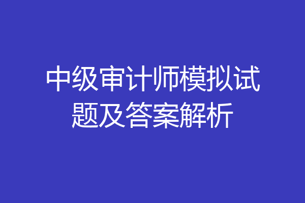 中级审计师模拟试题及答案解析