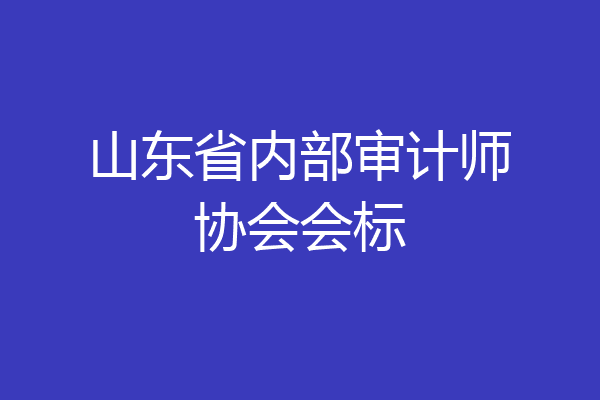 山东省内部审计师协会会标