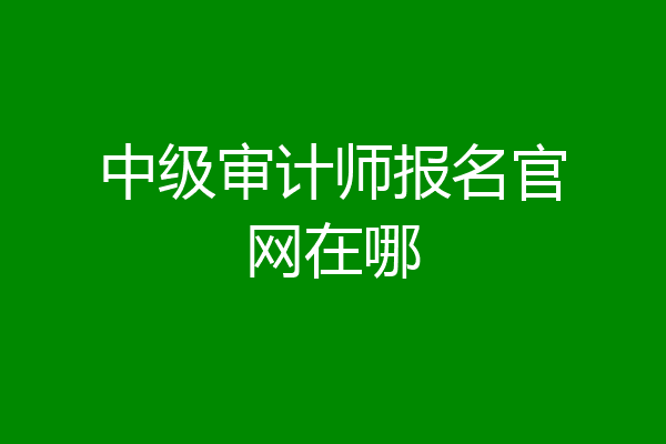 中级审计师报名官网在哪