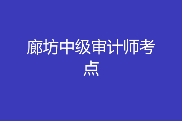 廊坊中级审计师考点