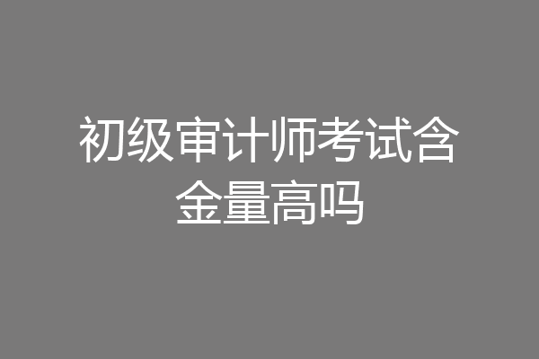 初级审计师考试含金量高吗