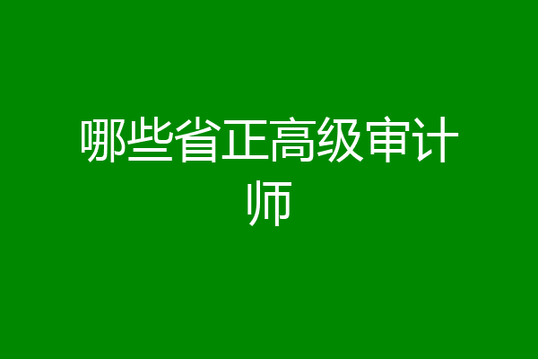 哪些省正高级审计师