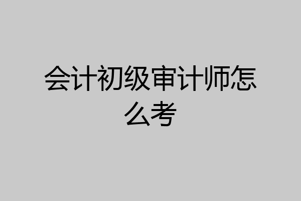 会计初级审计师怎么考