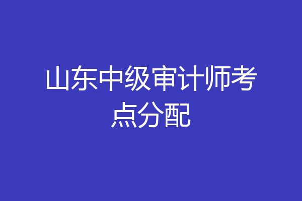 山东中级审计师考点分配