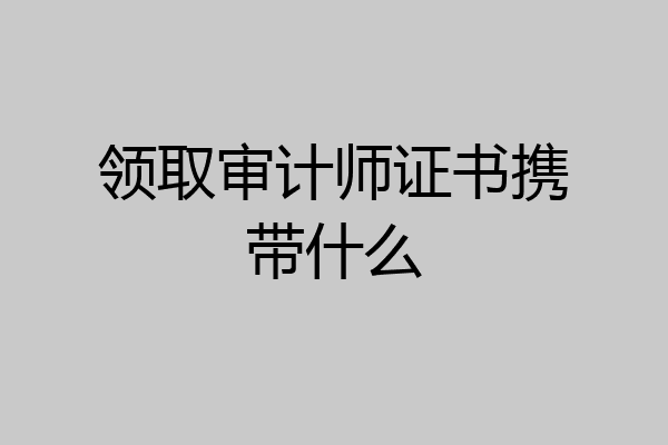 领取审计师证书携带什么