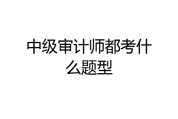 中级审计师都考什么题型