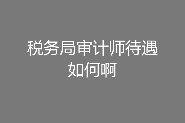 税务局审计师待遇如何啊