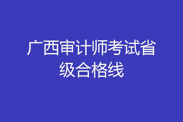 广西审计师考试省级合格线