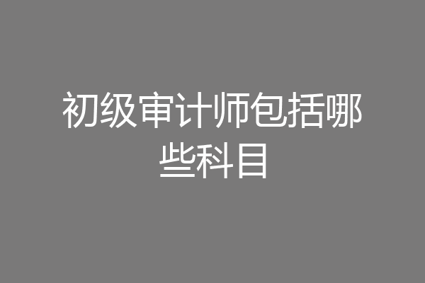 初级审计师包括哪些科目