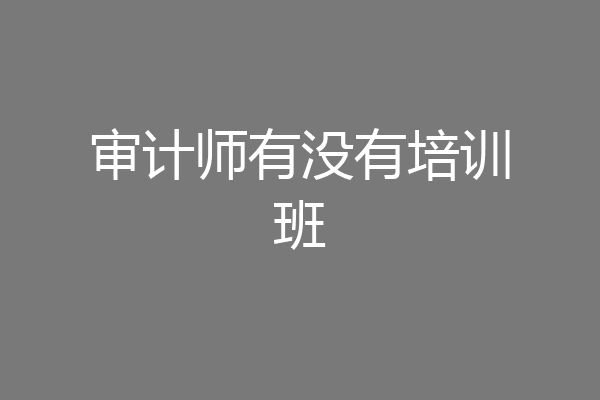 审计师有没有培训班
