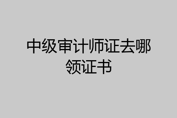 中级审计师证去哪领证书