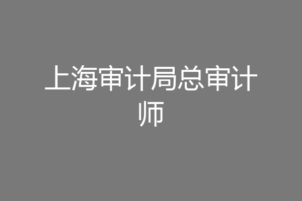 上海审计局总审计师