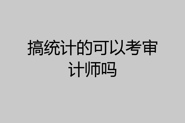 搞统计的可以考审计师吗