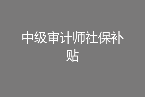 中级审计师社保补贴