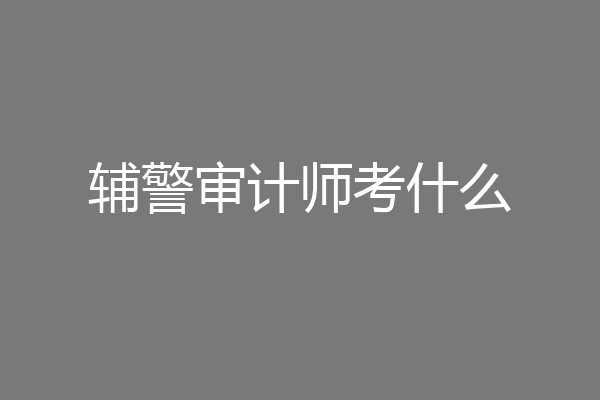 辅警审计师考什么