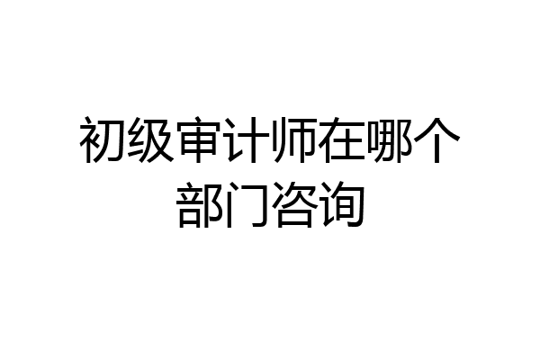 初级审计师在哪个部门咨询