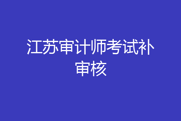 江苏审计师考试补审核