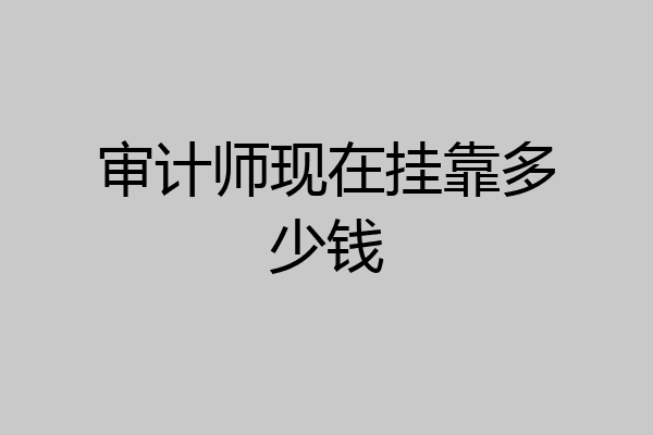 审计师现在挂靠多少钱