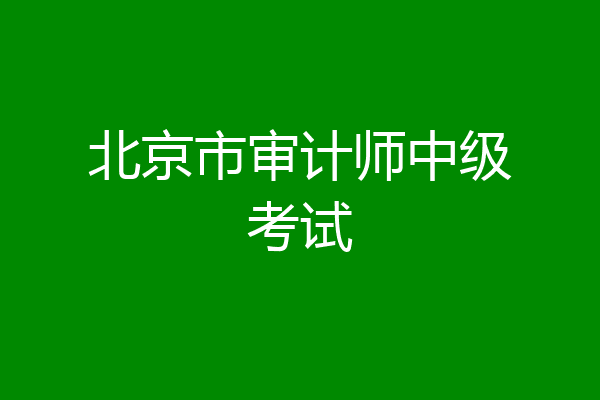北京市审计师中级考试