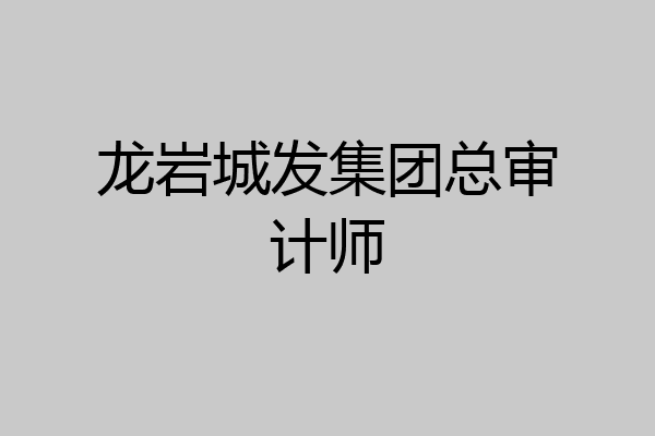 龙岩城发集团总审计师