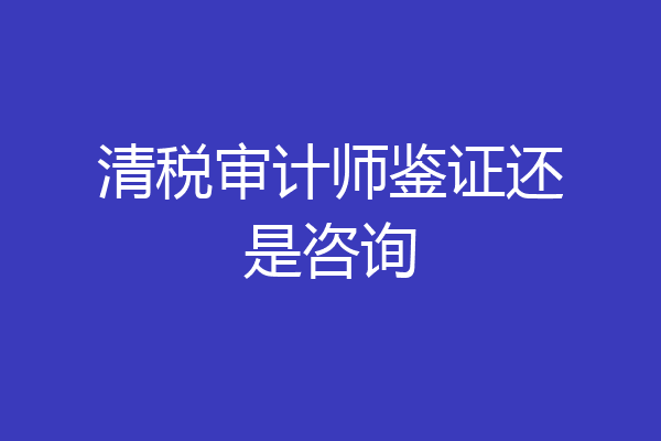 清税审计师鉴证还是咨询