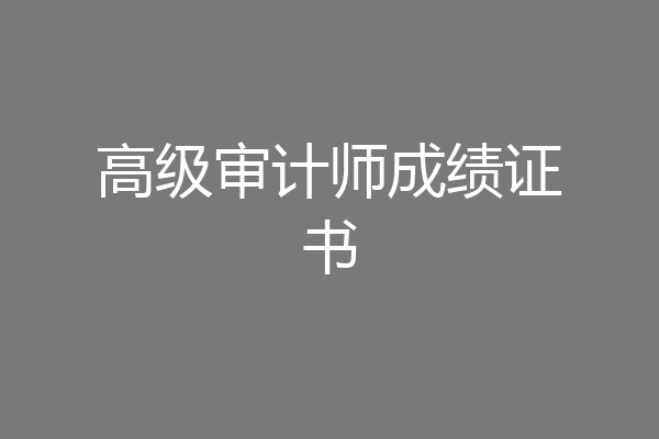 高级审计师成绩证书