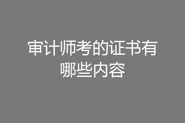 审计师考的证书有哪些内容