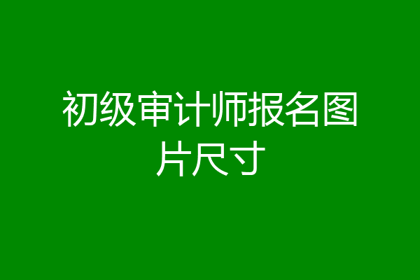 初级审计师报名图片尺寸