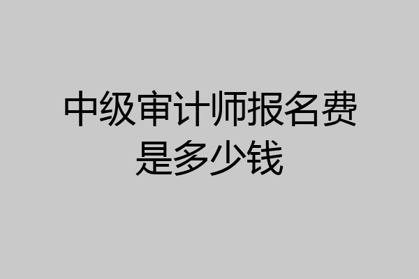 中级审计师报名费是多少钱