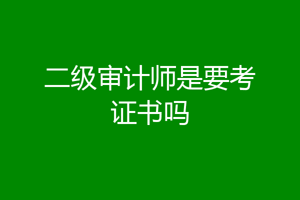 二级审计师是要考证书吗