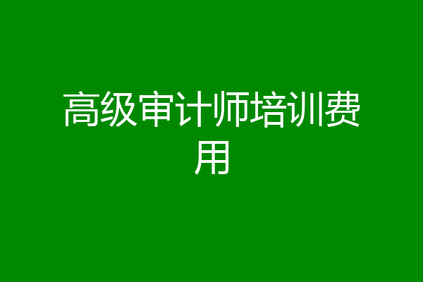 高级审计师培训费用