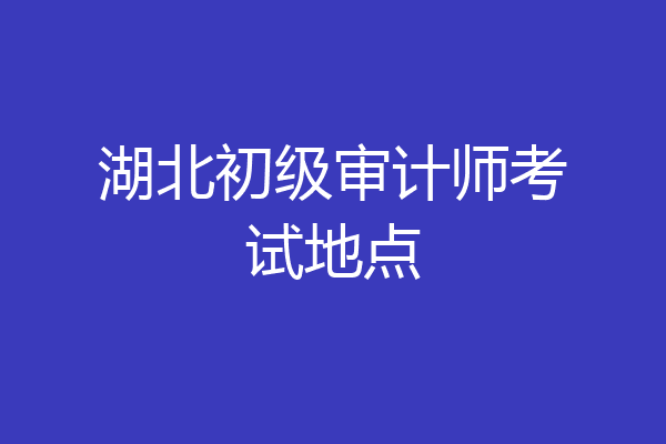 湖北初级审计师考试地点